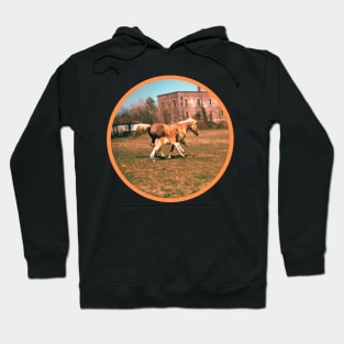 Mare and Foal Hoodie